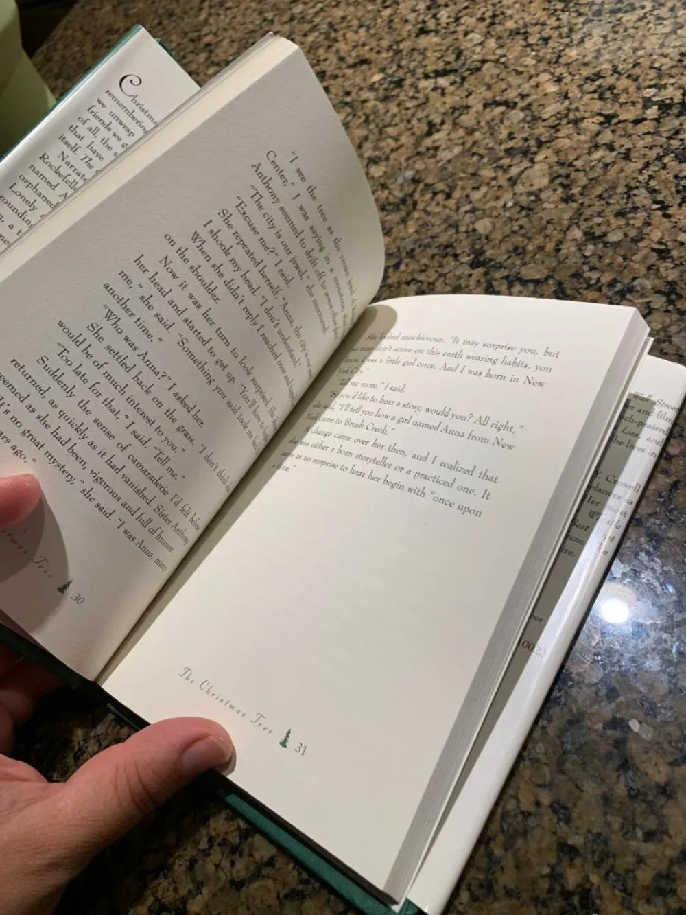 The Christmas Tree Mini Hardcover Book by Julie Salamon